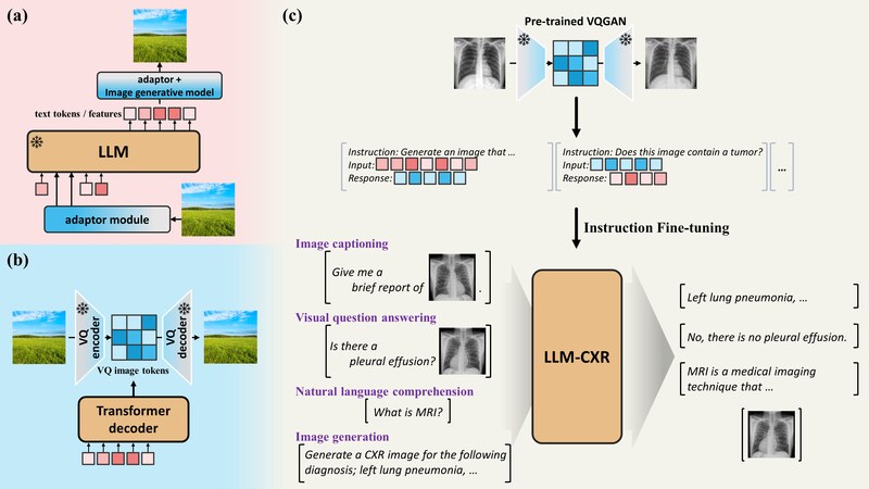 LLM-CXR instruction fine-tuning overview