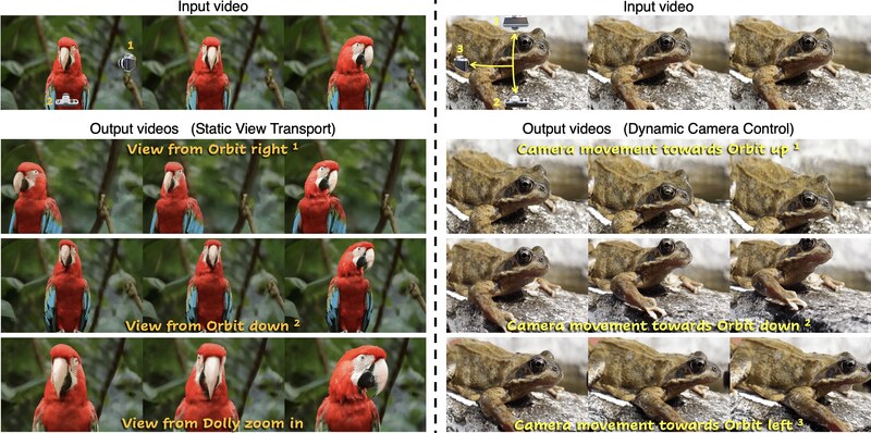 Reangle-A-Video camera-controlled generation examples