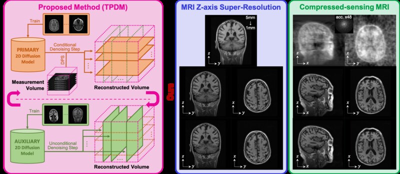 TPDM perpendicular 2D diffusion models overview